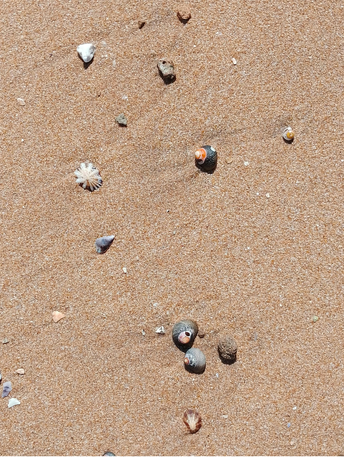 Comment protéger son cuir chevelu et ses cheveux de l'eau de mer?